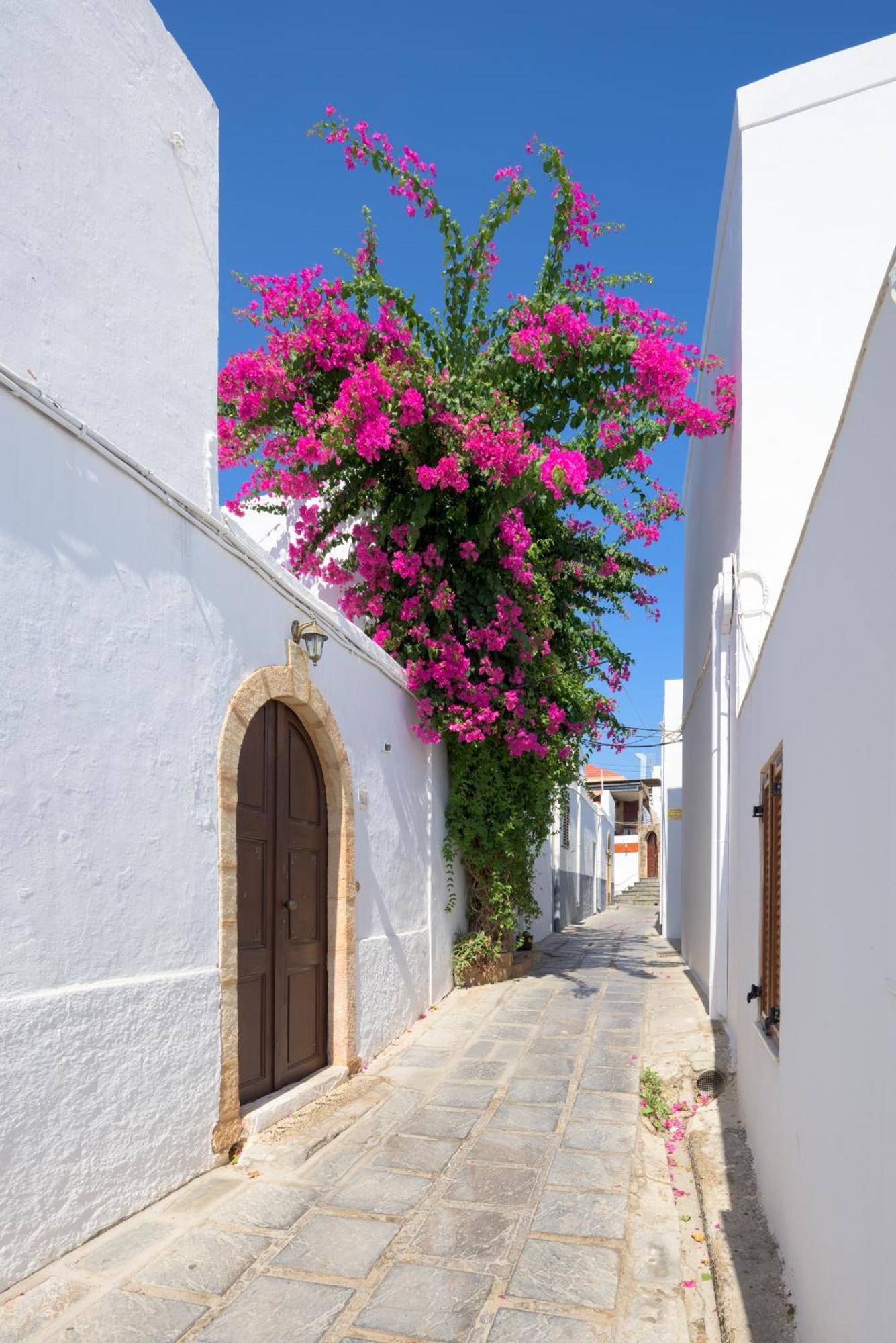 Erato * Lindos (Rhodes)