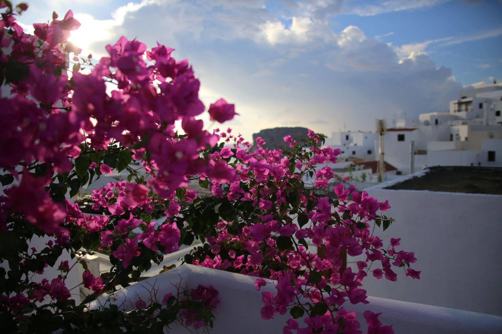 Erato * Lindos (Rhodes)